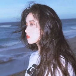 战争进化史无敌版